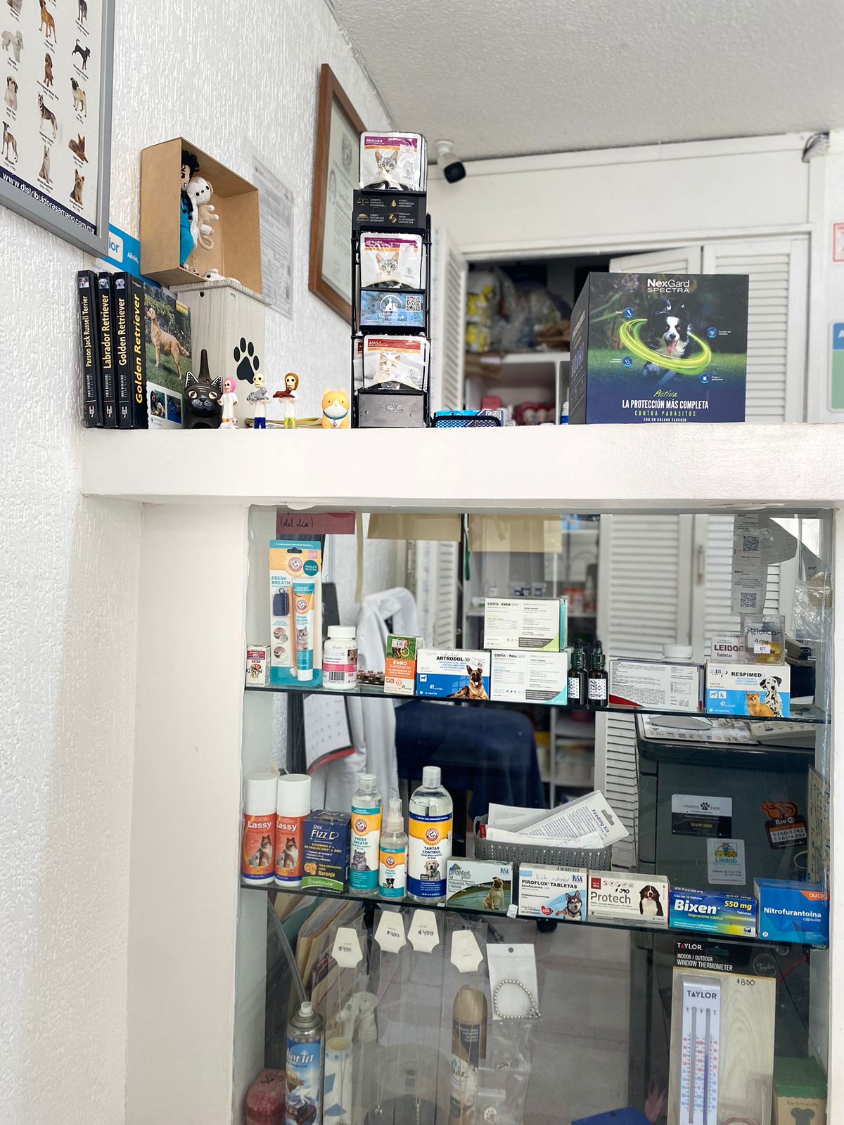 HOSPITAL VET COMPANY