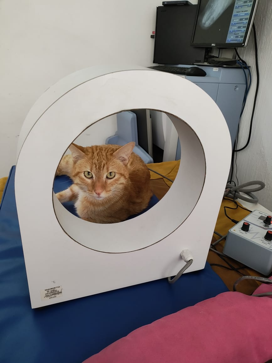 HOSPITAL VET COMPANY