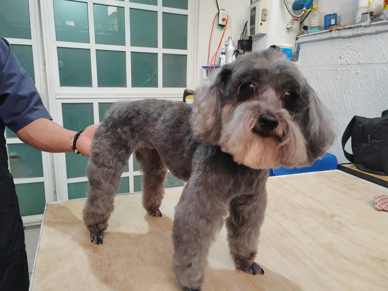 HOSPITAL VET COMPANY